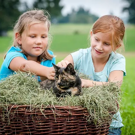 Апартаменты Hussnhof Farm Lodge